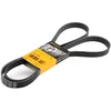 Image de Multiriem 6PK1856 Contitech