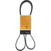 Image de Multiriem 7PK1760 Contitech