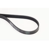 Image de Multiriem 6PK1173 Contitech