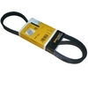 Image de Multiriem 5PK1212 Contitech