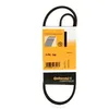 Image de Multiriem 3PK740 Contitech