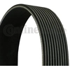 Image de Multiriem 10PK1815 Contitech