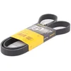 Image de Multiriem 6PK1310 Contitech