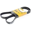 Image de Multiriem 6PK1453 Contitech