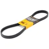 Image de Multiriem 6PK1029ELAST Contitech