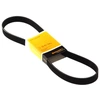 Image de Multiriem 7PK1104 Contitech