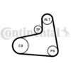 Image de Multiriem set 6PK906K3 Contitech