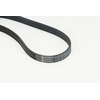 Image de Poly V-riem 6PK860ELAST Contitech