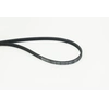 Image de Poly V-riem 3PK823ELAST Contitech