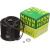 Image de Brandstoffilter P917X Mann