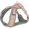 Image de Trixie Harnais 1989435