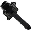 Image de Bobine ZS016 Borgwarner Beru