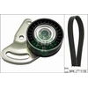 Image de Multiriemen Set Renault 529017810 Ina