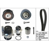 Image de Waterpomp + Distributieriemset 530036132 Ina