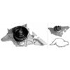 Image de Waterpomp 538040510 Ina