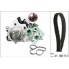 Image de Waterpomp + distributieriem set 530074330 Ina