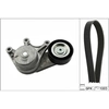 Image de Poly V-riem set 529048310 Ina