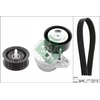 Image de Poly V-riem set 529049910 Ina