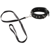 Image de Collier et Laisse Vegan Fetish