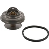 Image de Thermostaat 09325 FEBI