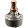 Image de Thermostaat 09328 FEBI