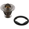 Image de Thermostaat 17355 FEBI
