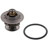 Image de Thermostaat 17978 FEBI