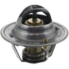 Image de Thermostaat 18973 FEBI
