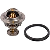 Image de Thermostaat 24998 FEBI