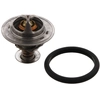 Image de Thermostaat 33493 FEBI