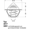 Image de Thermostaat 301792D2 Wahler