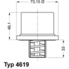 Image de Thermostaat 461980 Wahler
