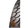 Image de Band voor alle terreinen Offroad / SUV / 4x4 GRABBER AT3 255/65 R16 109H