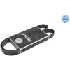 Image de Multiriem 0500061215D Meyle