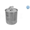 Image de Brandstoffilter 0143230012 Meyle