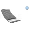 Image de Multiriem 0500072000 Meyle