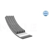 Image de Multiriem 0500040855 Meyle