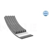 Image de Multiriem 0500050725 Meyle