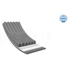 Image de Multiriem 0500061740 Meyle
