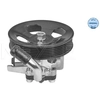 Image de Servo pomp 37146310004 Meyle