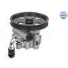 Image de Servo pomp 44146310000 Meyle