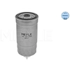 Image de Brandstoffilter 1001270008 Meyle