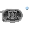 Image de Sensor uitlaatgastemperatuur 1148000216 Meyle