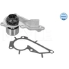 Image de Waterpomp motorkoeling 16132200032 Meyle