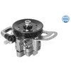 Image de Servo pomp 29146310007 Meyle