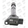 Image de Bobine ZSE169 Borgwarner Beru