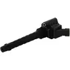 Image de Bobine ZSK1X1PM Bosch