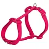 Image de Trixie Harnais Pour Chien New Premium 20 Mm