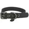 Image de Trixie Collier De Chien City Style 25 Mm 45-52 cm