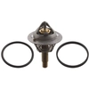 Image de thermostaat 106507 FEBI